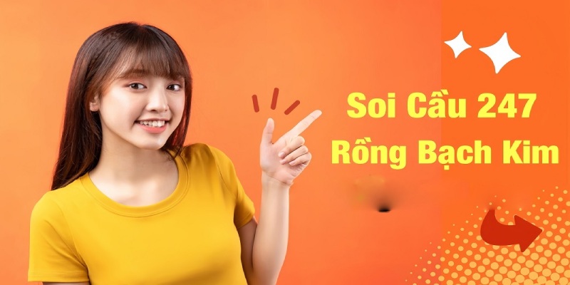 Các ưu điểm nổi bật khi dùng rồng bạch kim 247