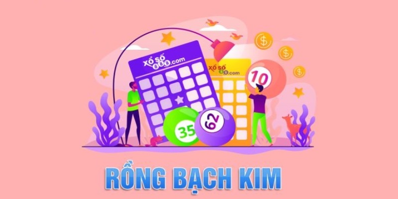 Rồng Bạch Kim 247